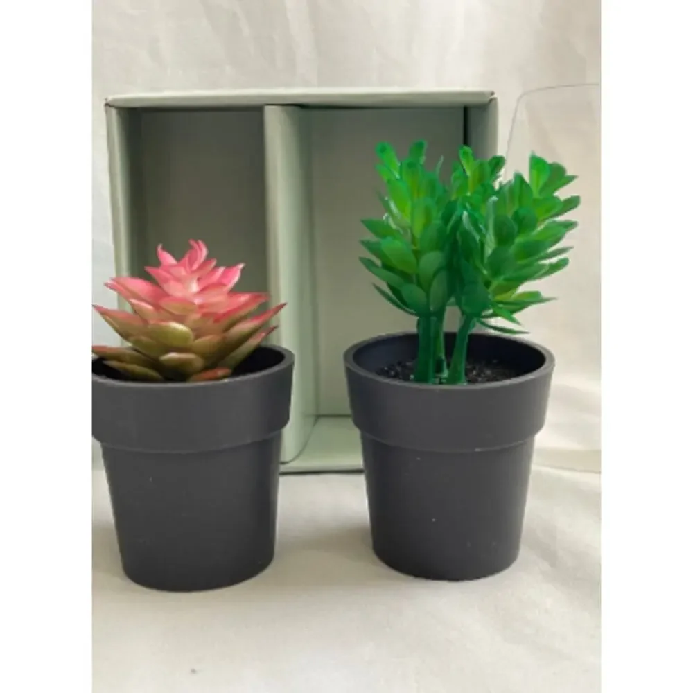 4 Piece Faux Mini Decorative Succulents in Pots 4